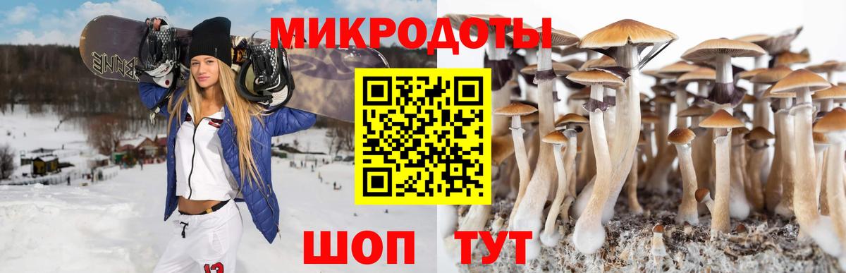 Псилоцибиновые грибы Magic Shrooms  Вход с VPN  сколько стоит  Ленинск-Кузнецкий 